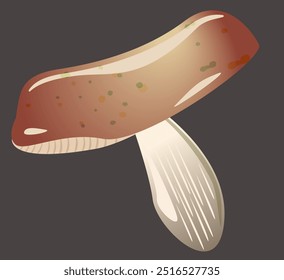 Boletus mushroom. Vector champignon mushroom on dark background. Vector illustration of brown mushroom. Seasonal food vegetarian