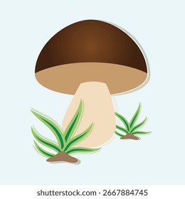 Cogumelo boleto. Cogumelo champignon vetorial sobre fundo branco. Ilustração vetorial de cogumelo branco marrom