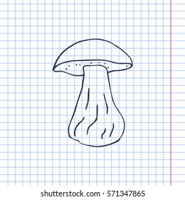 boletus mushroom vector sketch