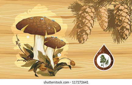 Boletus mushrooms with grass over wooden background