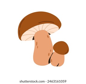 Boletus mushrooms. Porcini fungi of different size, big and small. Edible fresh organic natural food. Autumn fall forest fungus family. Flat vector illustration isolated on white background