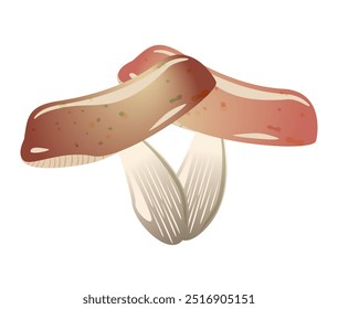 Boletus mushrooms two. Vector champignon mushroom on dark background. Vector illustration of brown mushroom. Seasonal food vegetarian