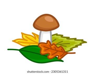 Boletus, porcini in fall leaves. Autumn edible mushroom. Cartoon, flat. Isolated vector illustration eps 10