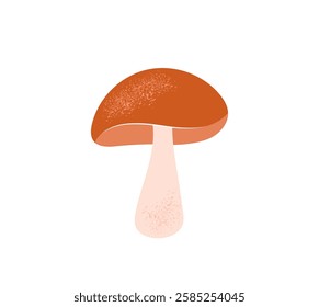 Boletus or porcini mushroom isolated on white background. Fall or autumn seasonal food icon. Edible fungus. Hand drawn flat cartoon vector illustration