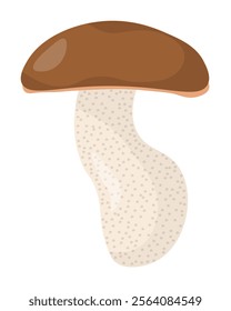 Boletus scaber wild edible mushroom in flat style, element growing in forest for education or design vector illustration