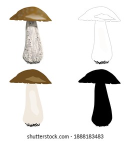 Boletus set of images of mushrooms colored outline silhouette