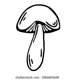 Boletus vector icon. Isolated illustration on a white background. Edible forest mushroom. Food sketch. Fungi black outline. Hand-drawn doodle. Monochrome.