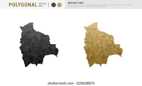 Bolivia map of abstract gold and black vector polygon set couple.