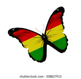 Bolivian flag butterfly - vector