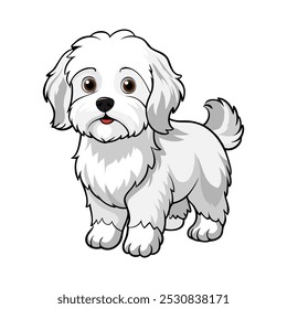 Bolognese dog breed vector illustration isolated on white background in cartoon style.