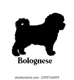 Bolognese Dog silhouette dog breeds dog monogram logo dog face vector