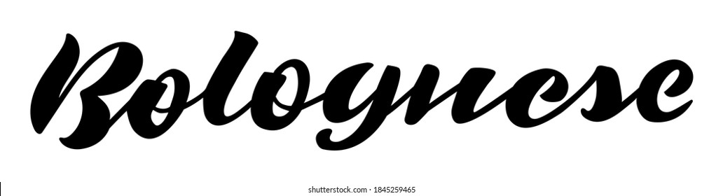 Bolognese Hand lettering design. Vector illustration Hand drawn text for pasta or sauce product label, tag, script. Calligraphic design for menu, print card, banner, poster.