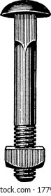 Bolt with Dome shaped head, square body under head and round body in middle and having screws in lower end, vintage line drawing or engraving illustration.