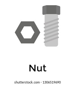 Bolt nut, workshop and garage tool, flat icon