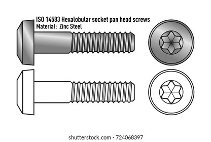 Bolt with round head and hexagon star socket, zinc steel.