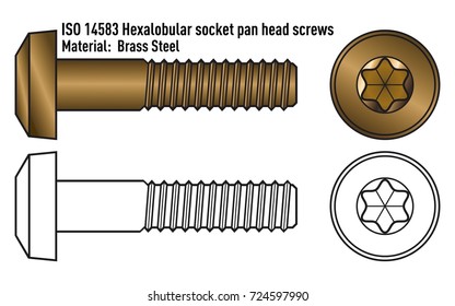 Bolt with round head and hexagon star socket, brass steel.