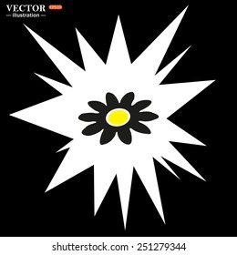 Bomb, blast. Explosion, cotton. Flash, an explosion on a black background. daisy,vector illustration, EPS 10