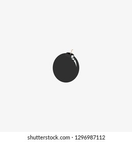 bomb icon graphic element Illustration template design