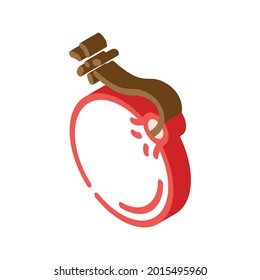 vector de icono isométrico pirata de bomba. cartel pirata de bomba. ilustración de símbolo aislado