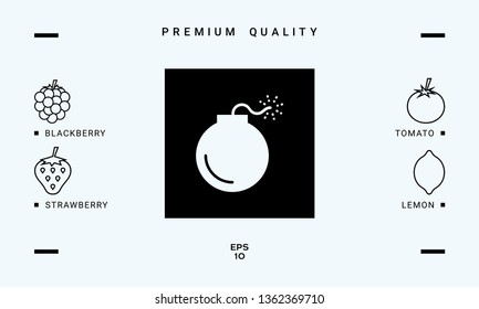 Bomb symbol icon. Graphic elements for your design