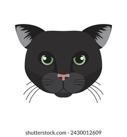 Bombay cat face, head of short haired black elegant kitten vector illustration