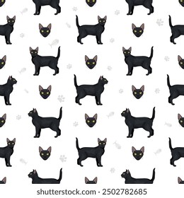 Bombay cat seamless pattern. All coat colors set. Vector illustration