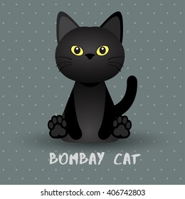 Bombay Cat : Vector Illustration
