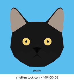 Bombay, Isolated cat breed, Vector illustration