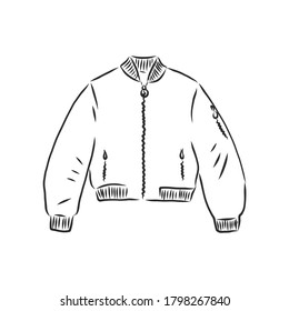 bomber sketch. bomber jacket, vector sketch illustration