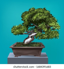 Bon Sai Tree Real Vector Illustration