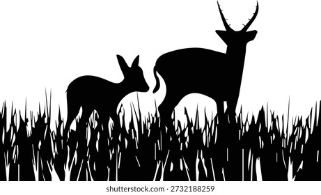 The Bond Between Deer and Her Baby.