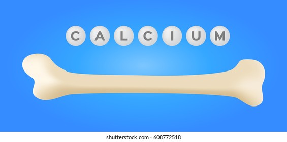 Bone Calcium Vector