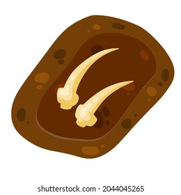 Bone and claws or teeth of dinosaur in ground. Hole in soil. Archaeological discovery. Flat cartoon illustration