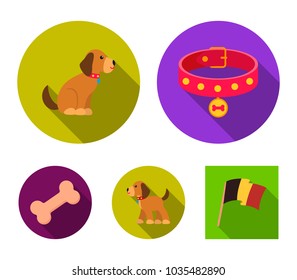 Bone, collar, sit, food.Dog set collection icons in flat style vector symbol stock illustration web.