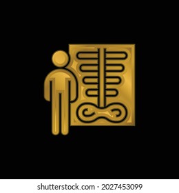 Bone Density gold plated metalic icon or logo vector