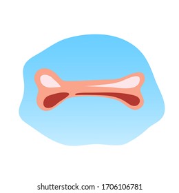 Bone for dog. Pets accessories. Concept for pet store. Vector illustration isolated on white background.