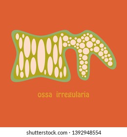 Bone flat icon. Single high quality outline symbol of human body for web design or mobile app.