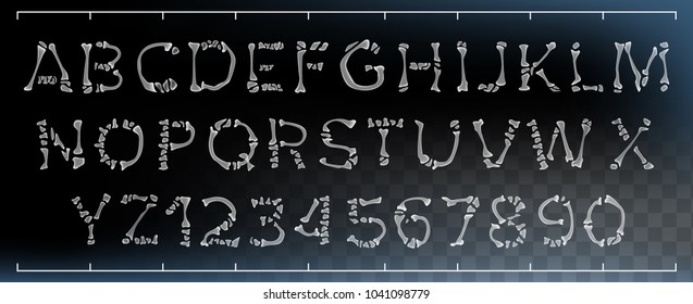 Bone Font Vector. Letters Anatomy. ABC Alphabet. Skeleton Style. Hell Scary Alphabet. Isolated Transparent Illustration