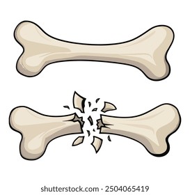 Knochenbruch. Ein Trauma für den Körper. Risse und Splitter. Gefährliche Situation und Wunde. Cartoon, flache Illustration und Hundespielzeug einzeln auf weißem Hintergrund.