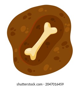 Bone in ground. Hole in soil. Archaeological discovery.