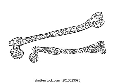 Bone hip tattoo sofa upholstery ink drawing