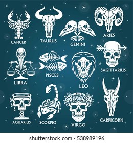 Bone horoscope. Zodiac signs. Background - the star sky. Vector illustration.