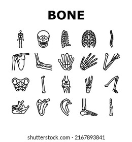 Bone Human Skeleton Structure Icons Set Vector. Arms And Leg Body Bone Human, Chest And Neck, Shoulder And Finger, Knee And Skull. Anatomy Skeletal System And Medicine Black Contour Illustrations