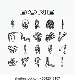 Bone Human Skeleton Structure Icons Set Vector