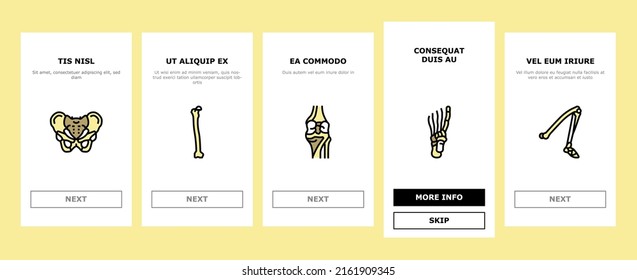 Bone Human Skeleton Structure Onboarding Mobile App Page Screen Vector. Arms Leg Body Bone Human, Chest And Neck, Shoulder And Finger, Knee And Skull. Anatomy Skeletal System Medicine Illustrations