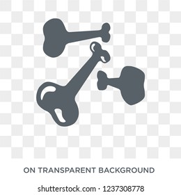 Bone icon. Bone design concept from  collection. Simple element vector illustration on transparent background.