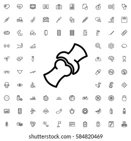 bone icon illustration isolated vector sign symbol. Health icons set.
