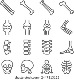 Bone icon illustration vector set. Contains such icon as Skeleton, framework, management, strategy, flow and more. Editable stroke