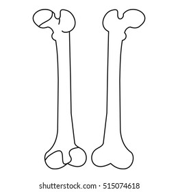 Bone icon. Outline illustration of bone vector icon for web