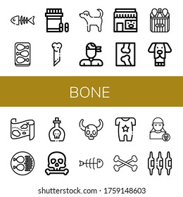 Bone Icon Set. Collection Of Fish Bone, Chicken Leg, Analgesic, Bone, Dog, Pirate, Pet Shop, X Ray, Treasure Map, Poison, Skull, Fishbone, Body, Bones, Calcium Icons